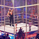 Following the tragic death of their beloved Big Show, WWE officials said the wrestler cage would be closed to public viewing indefinitely, even during the peak Summer Slam season.